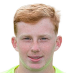 迪克森-霍奇