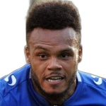阿马迪-霍洛韦