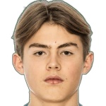 Z. Råvik